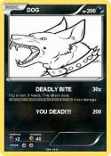 DOG