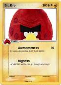 Big Bro