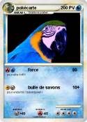 pokécarte