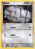 Hamster