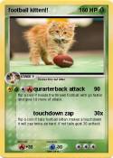 football kitten