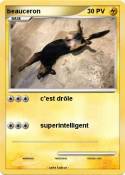 beauceron