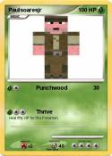 Paulsoaresjr