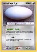 Harpy Eagle Egg