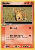 Baby lion