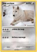 loup arctique