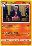 Donald duck