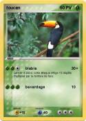 toucan