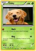 Codey