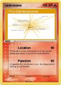 centrosome