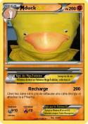 duck