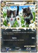 chatons