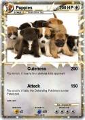 Puppies