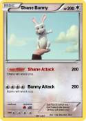 Shane Bunny