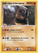 petit chien of