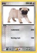 pug