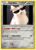 mlg kitten