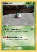 Biddle bird
