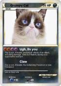 Grumpy Cat