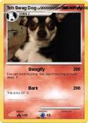 Teh Swag Dog