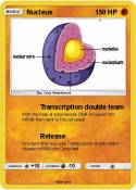 Nucleus