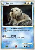 Sea otter