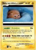 Baby sun kitten