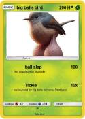 big balls bird