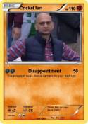 Cricket fan