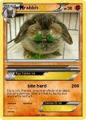 rabbit