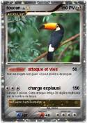 toucan