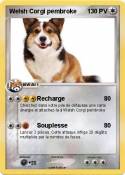 Welsh Corgi pem