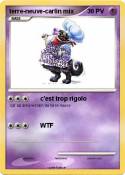 terre-neuve-car