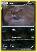 Chat