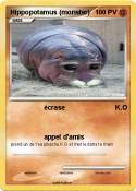 Hippopotamus