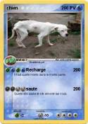 chien
