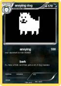 anoying dog