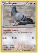 Pidgeon