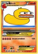 duck
