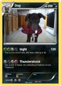 Dog
