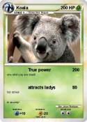 Koala