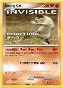 Boxing Cat