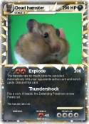 Dead hamster