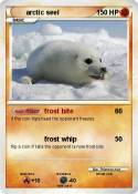 arctic seel