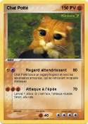 Chat Potté