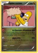 spider cochon