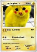 my cat pikachu