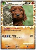 Puppy