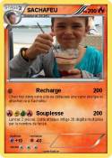 SACHAFEU