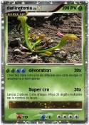 darlingtonia